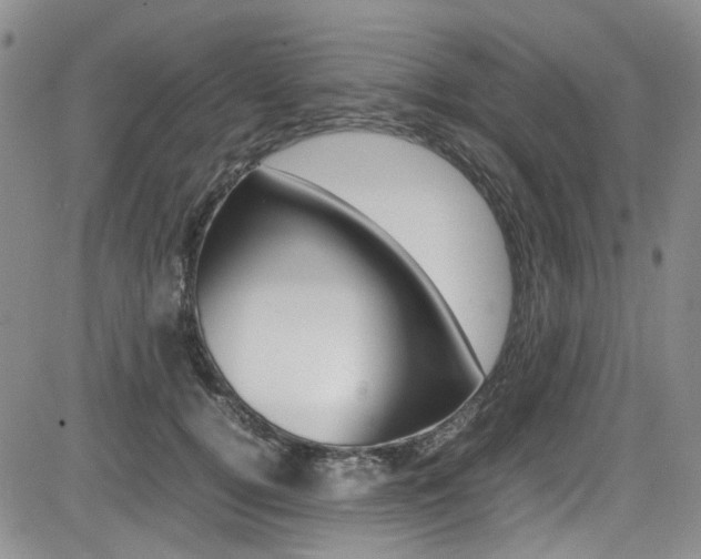 X0000085010752200703051001