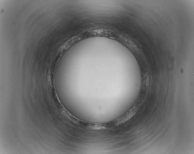 X0000085010754200703051001