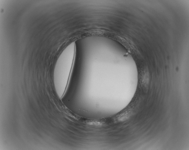 X0000085010759200703051001