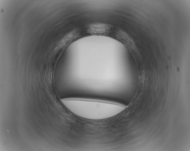 X0000085010763200703051001