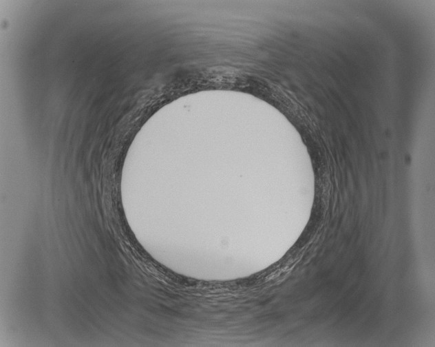X0000085010769200703051000