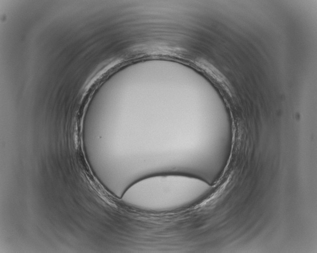 X0000085010782200703051000