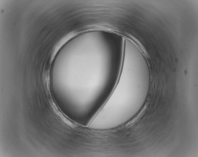 X0000085010812200703051000