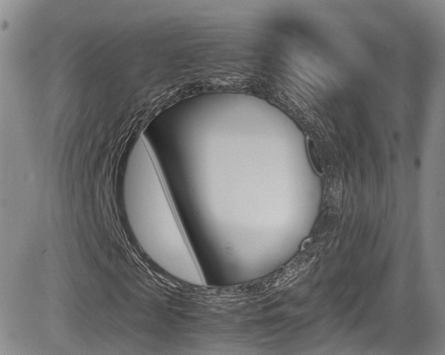 X0000085010817200703050959