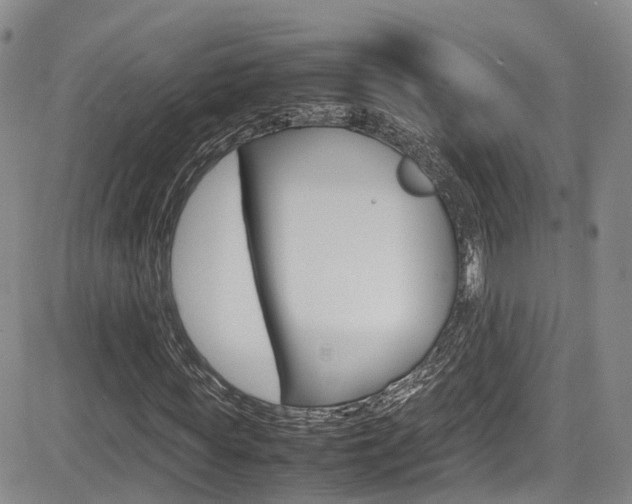 X0000085010819200703050959