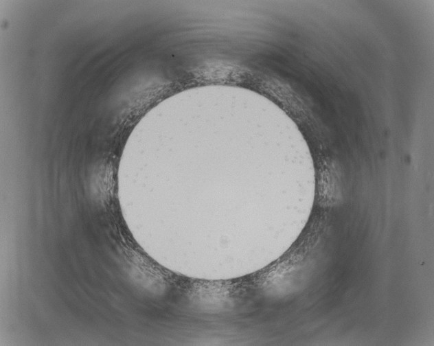 X0000085010820200703050959