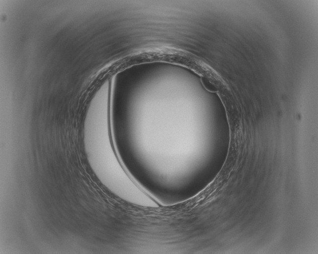 X0000085010822200703050959