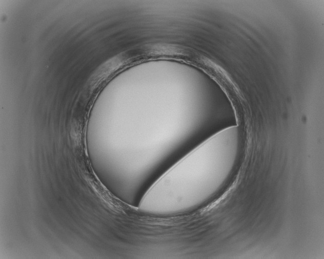 X0000085010833200703050959