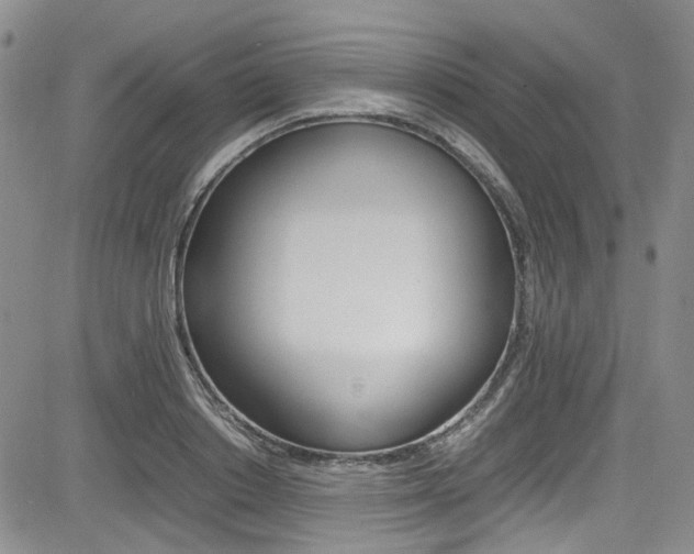 X0000085010842200703050959
