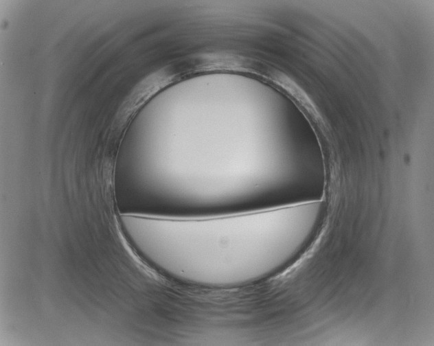 X0000085010849200703050959