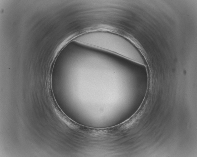 X0000085010850200703050959
