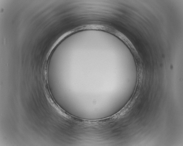 X0000085010852200703050959