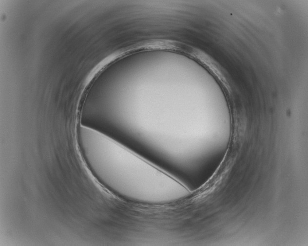 X0000085010853200703050959