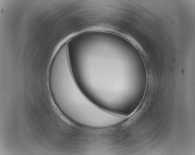 X0000085010854200703050959
