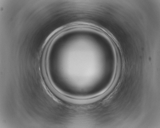 X0000085010862200703050959