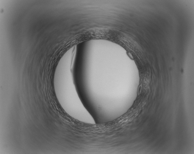 X0000085010865200703050959