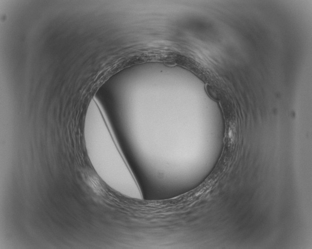 X0000085010867200703050959