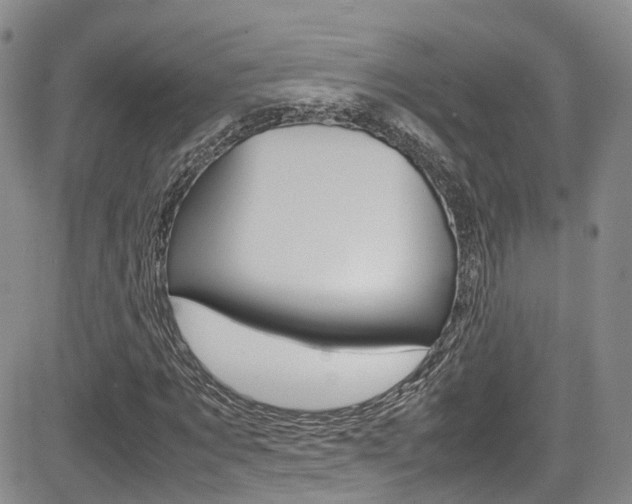 X0000085010869200703050959