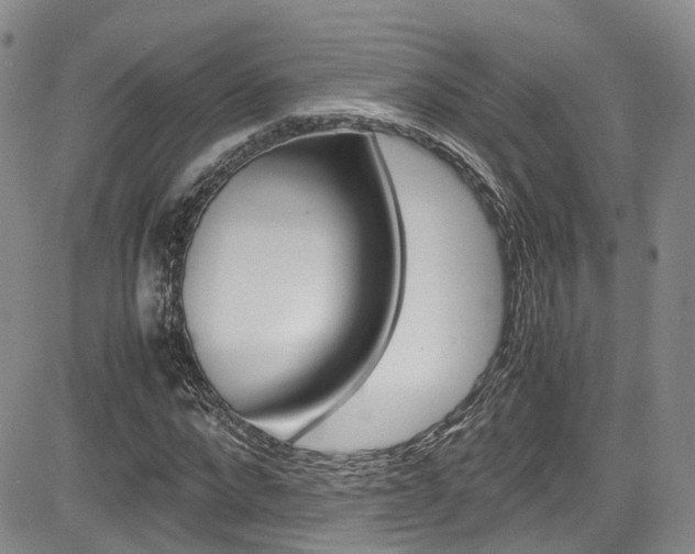 X0000085010872200703050959