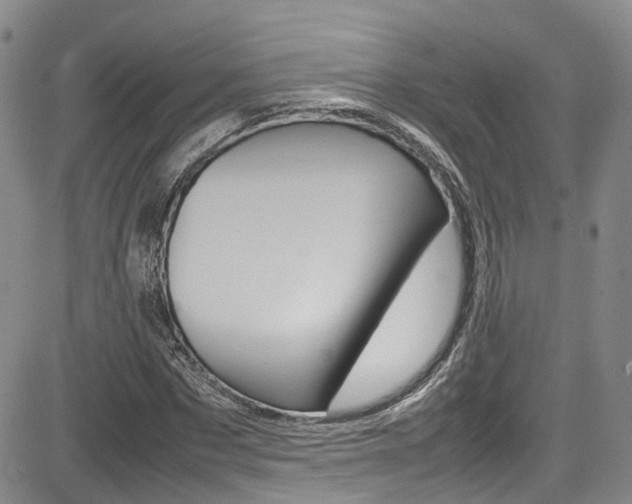 X0000085010873200703050959