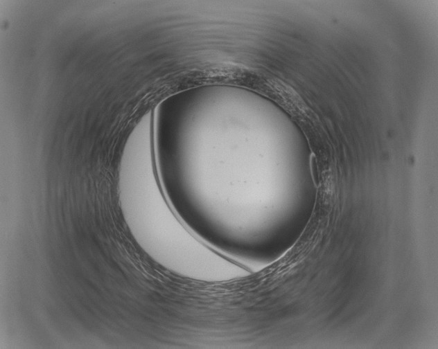 X0000085010916200703050957
