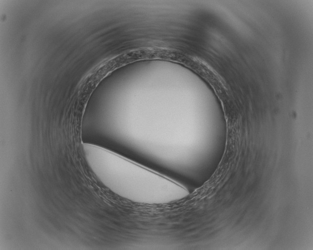 X0000085010919200703050957