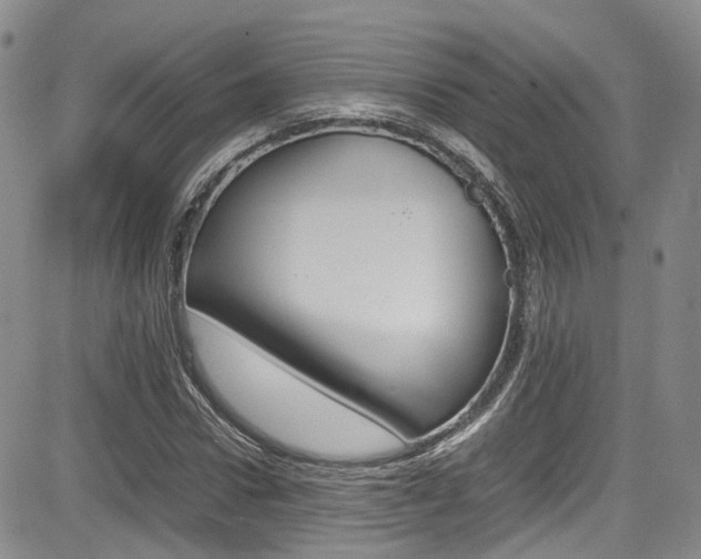 X0000085010922200703050957