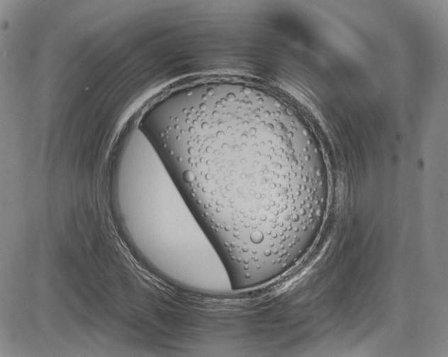 X0000085010925200703050957