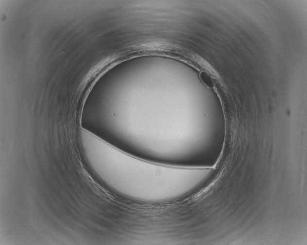 X0000085010930200703050957
