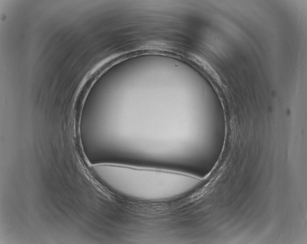 X0000085010931200703050957