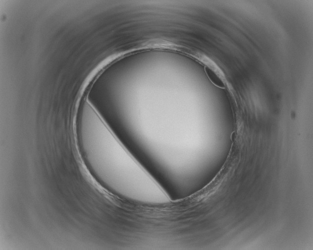 X0000085010947200703050958