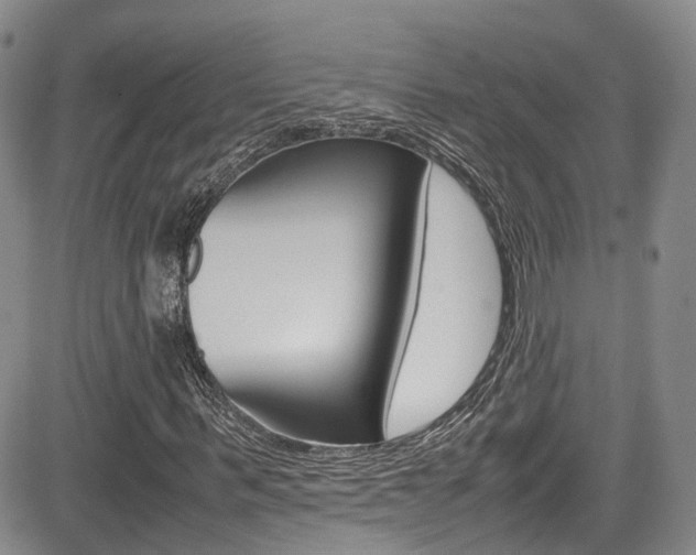 X0000085010963200703050957