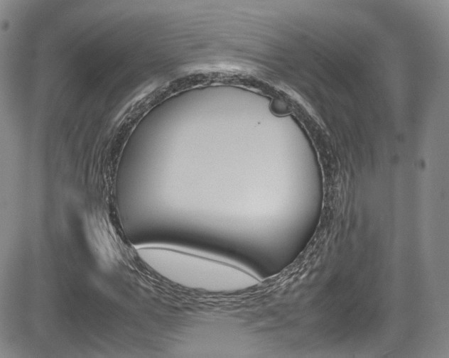 X0000085010967200703050957