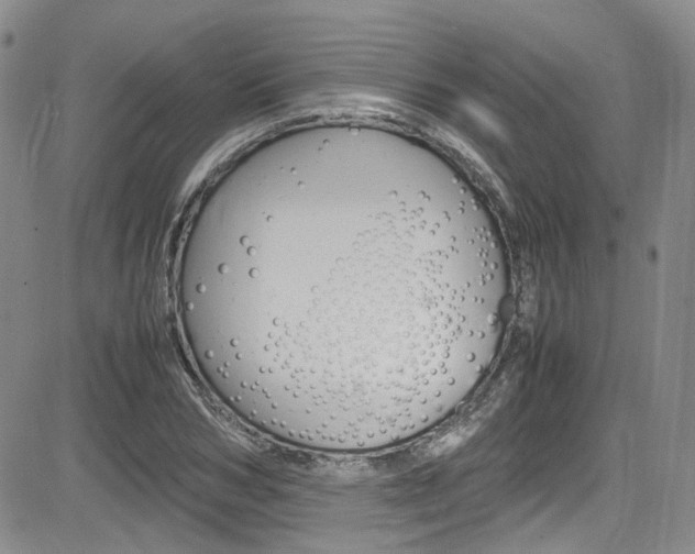X0000085010978200703050957