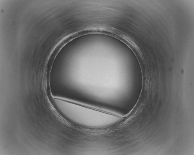 X0000085010984200703050957