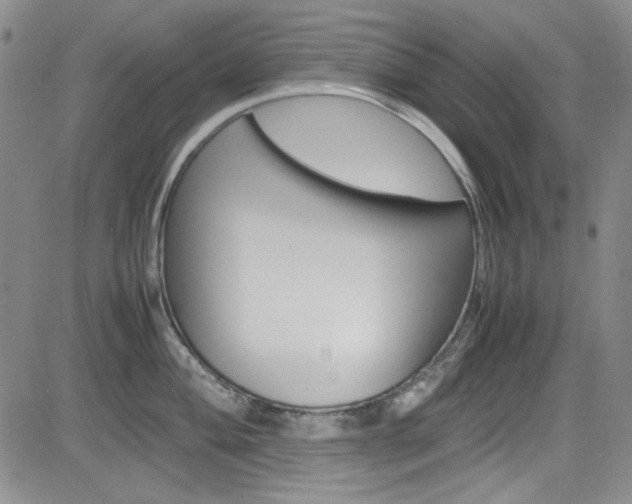 X0000085011004200703050956