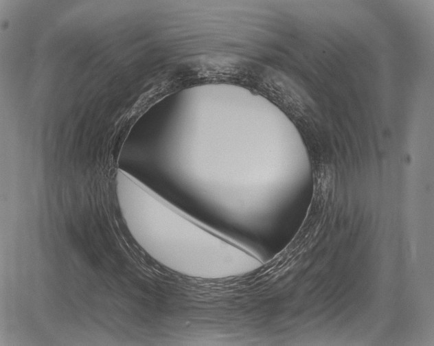X0000085011012200703050956