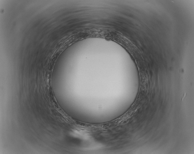 X0000085011013200703050956