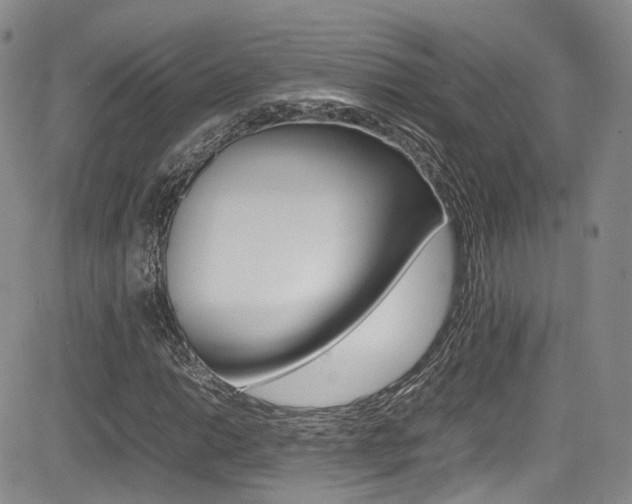 X0000085011014200703050956