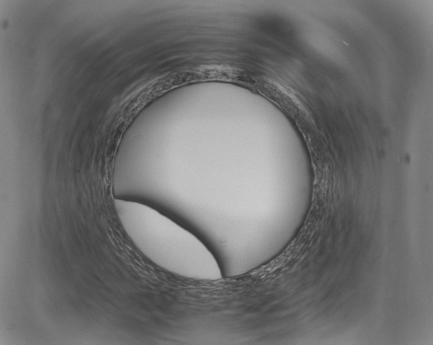 X0000085011015200703050956