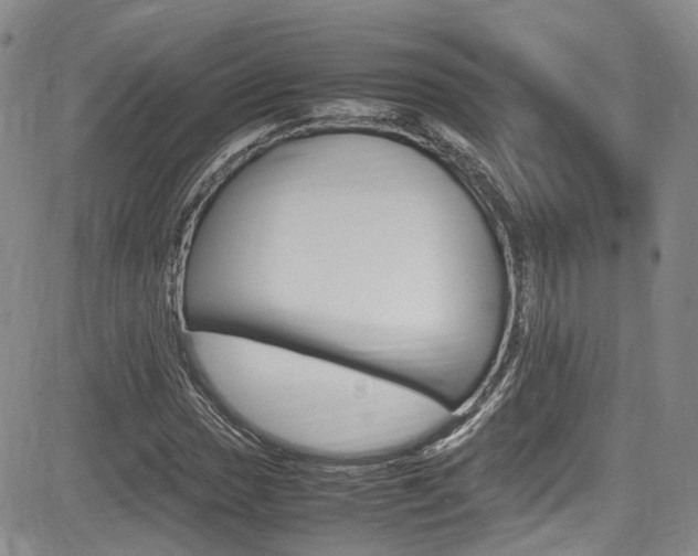 X0000085011017200703050956