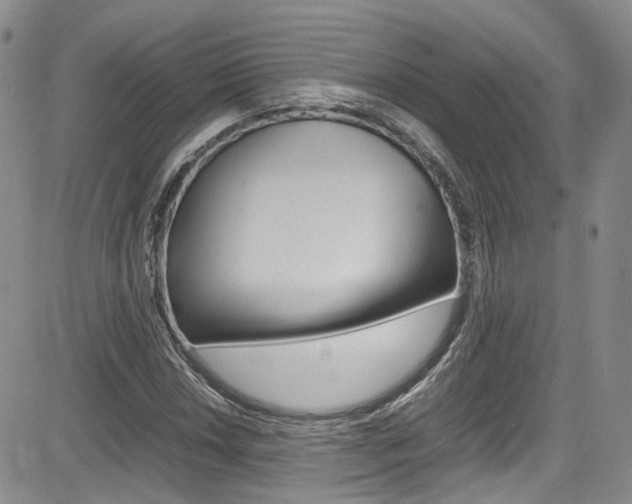 X0000085011018200703050956