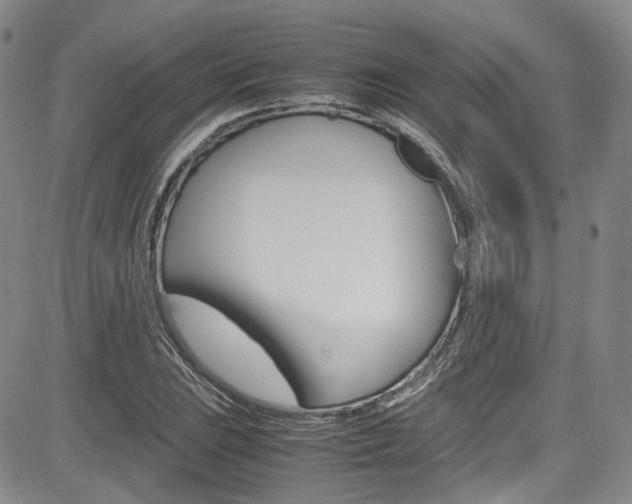 X0000085011023200703050956