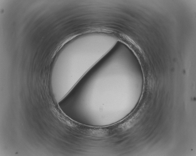 X0000085011025200703050956