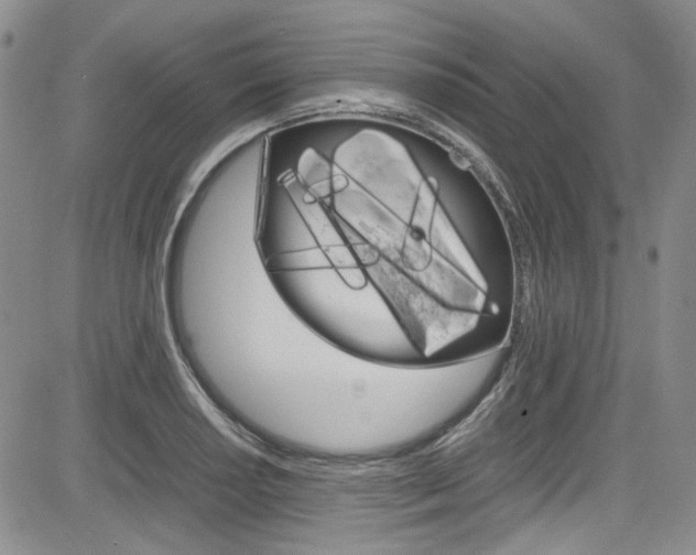 X0000085011034200703050956