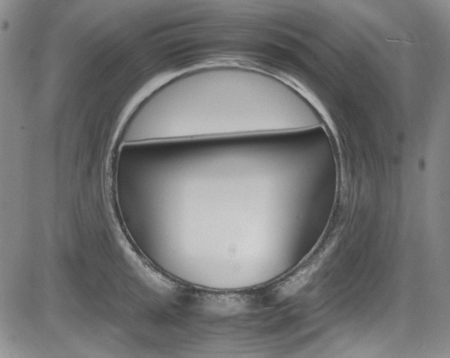 X0000085011045200703050956