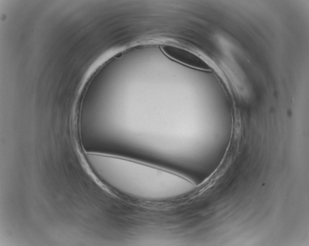 X0000085011053200703050956