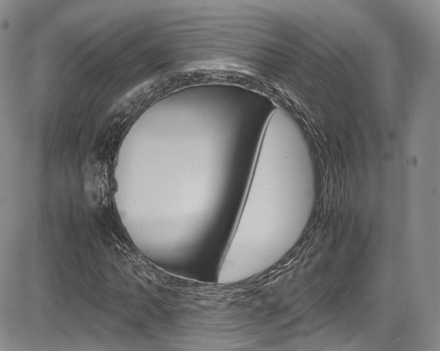 X0000085011062200703050955