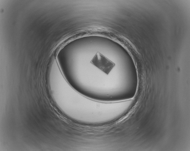 X0000085011065200703050955