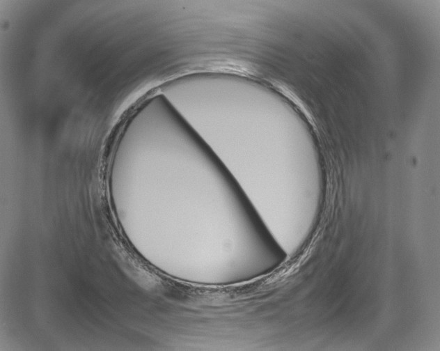 X0000085011071200703050955